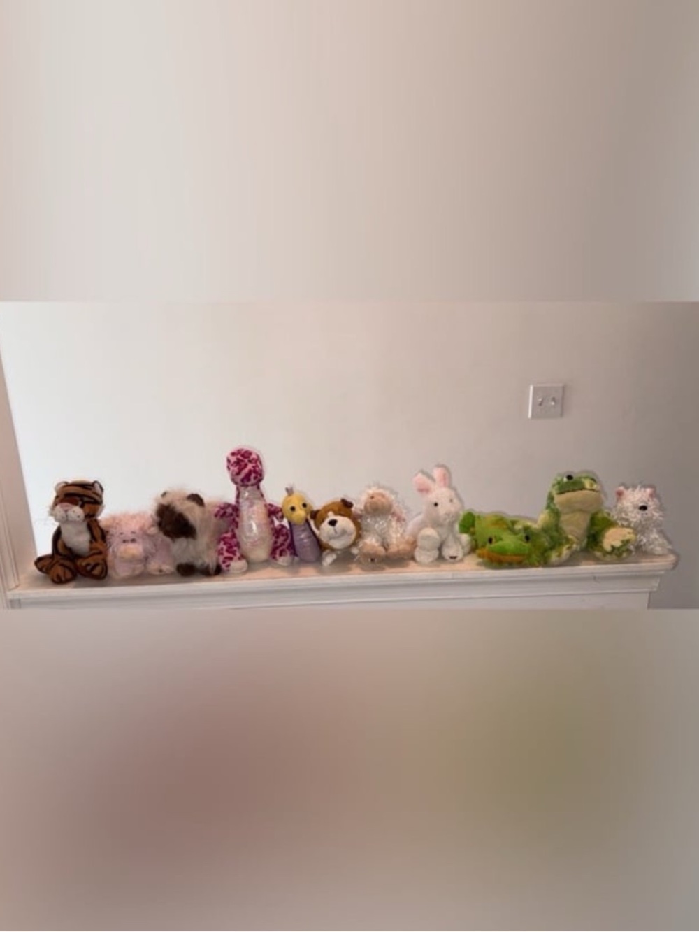 $12 each, 4.99 shipping